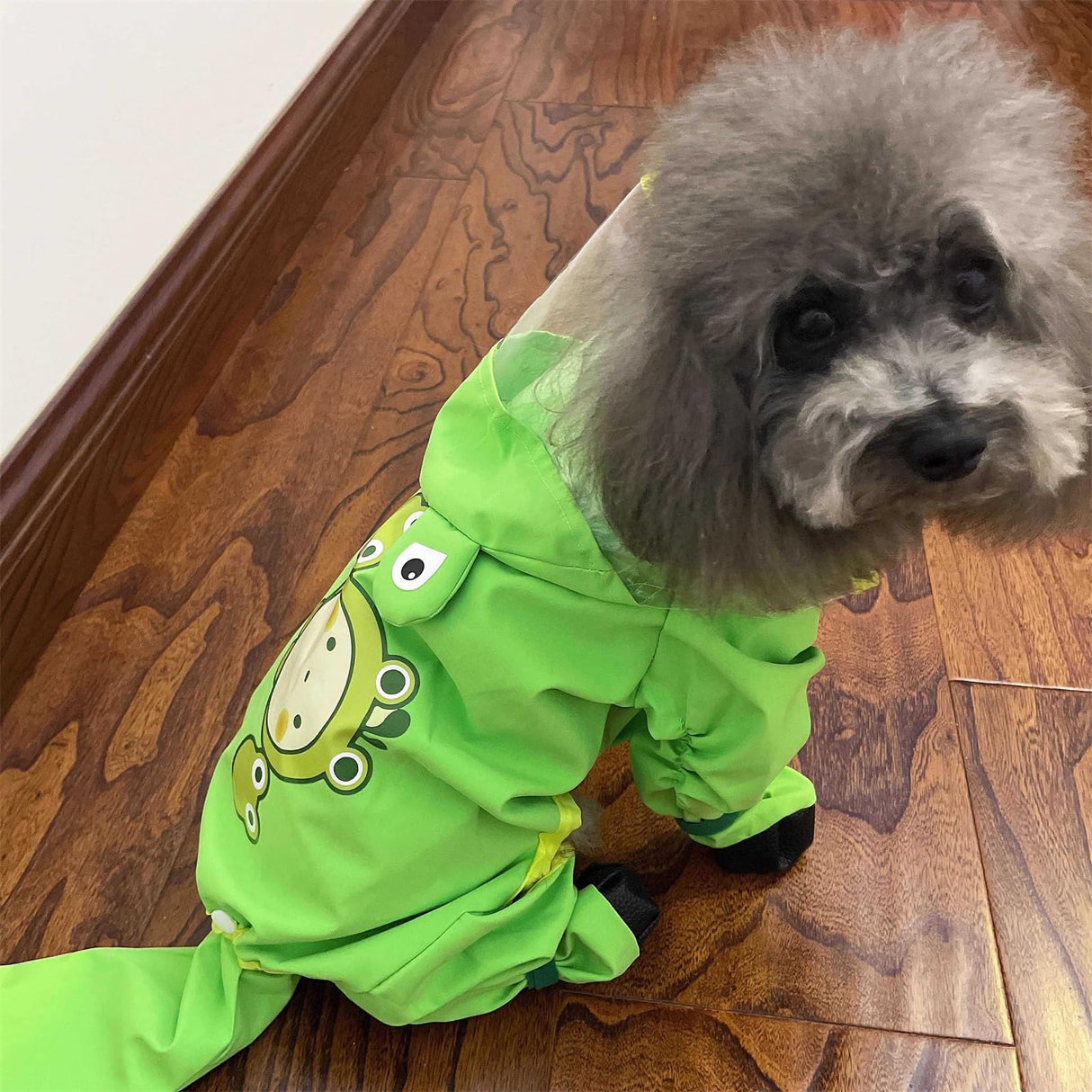 ETOSEM Dog Raincoat with Boots,Waterproof Dog Raincoats with Hood for Small Medium Large Dogs,Raincoat with Leash Ring (Green Frog, Large)