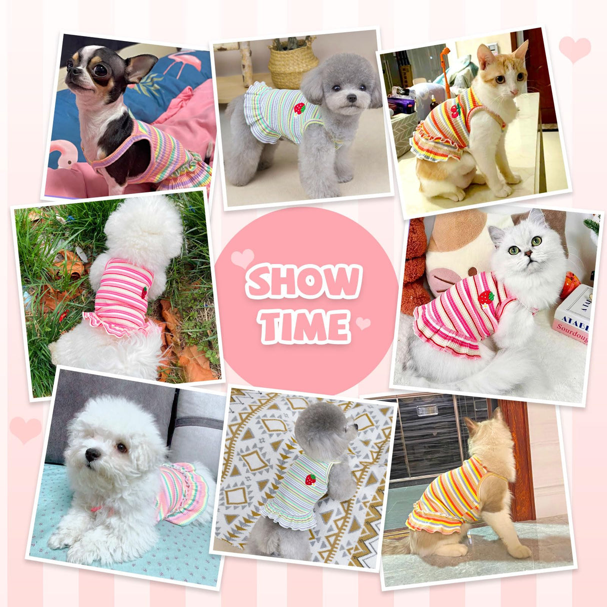 XGDMEIL Cute Small Dog Dress Girl Female Dog Clothes Spring Summer Pet Puppy Cats Striped Dress Outfits for Shih Tzu Yorkies Chihuahua Maltese(4 Pcs,X-Large)