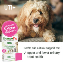 Load image into Gallery viewer, HomeoPet UTI+ Urinary Tract Relief, Safe and Natural Dog and Cat UTI Supplement, 15 Milliliters