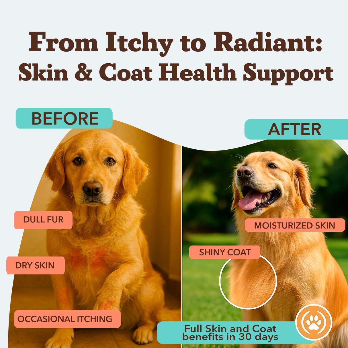 Natural Dog Company Skin & Coat Supplement for Dogs – Omega 3 Salmon Oil, Biotin & Vitamin E Support Shiny Coat, Healthy Skin & Normal Shedding, Promotes Comfort from Occasional Itch, 90 Count