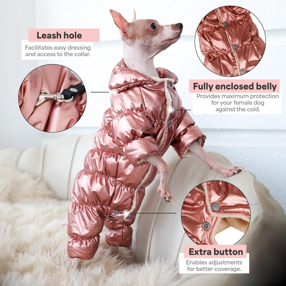 PETBARONET Winter Coat for Female Pups With Full Belly Coverage, Girl Clothes, Snow Jacket, Snowsuit for Cold Weather, Ideal for Small Medium Dogs (Medium)