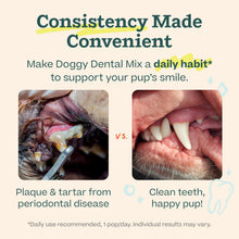 Load image into Gallery viewer, Woof Doggy Dental Pupsicle Mix - Dog Teeth Cleaning Powder for The Pupsicle - Long Lasting Postbiotic Dental Enzyme Mix to Support Oral Health for Dogs