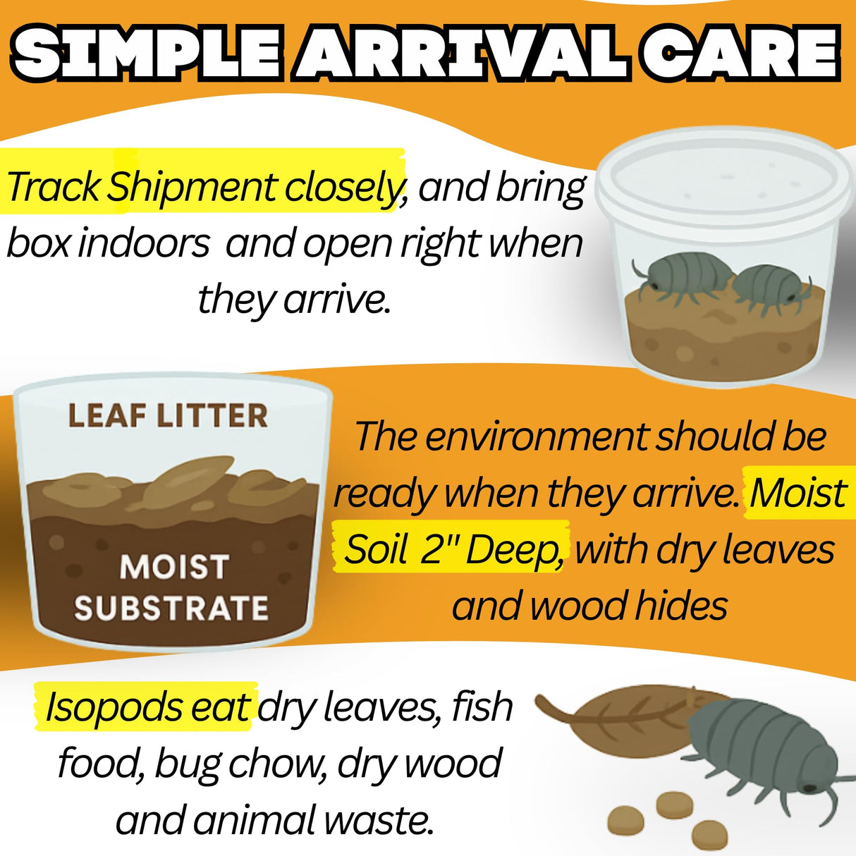 10 Mega Mix Isopods | 8oz Coco Temperate Springtails | Live Arrival Nationwide!