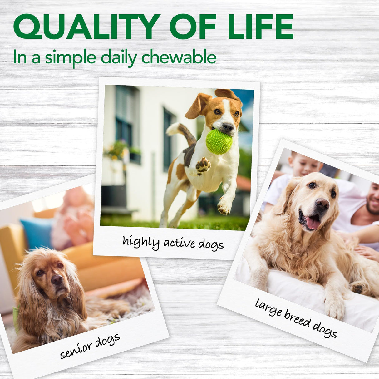 Vet's Best Advanced Hip & Joint Dog Supplements | Formulated with Glucosamine and Chondroitin to Support Dog Joint and Cartilage Health (3165810242)