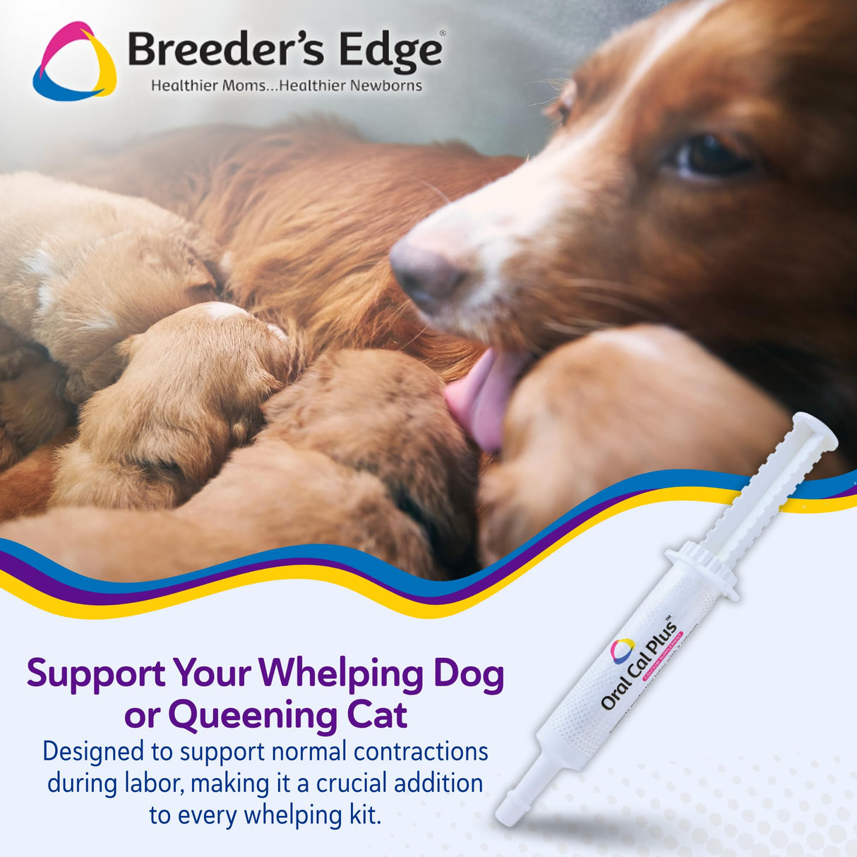 Breeder's Edge Oral Cal Plus Gel, Whelping and Queening Calcium Supplement Gel for Dogs and Cats Delivers 3 Calcium Sources in Labor to Support Strong and Normal Contractions, 30ml Paste
