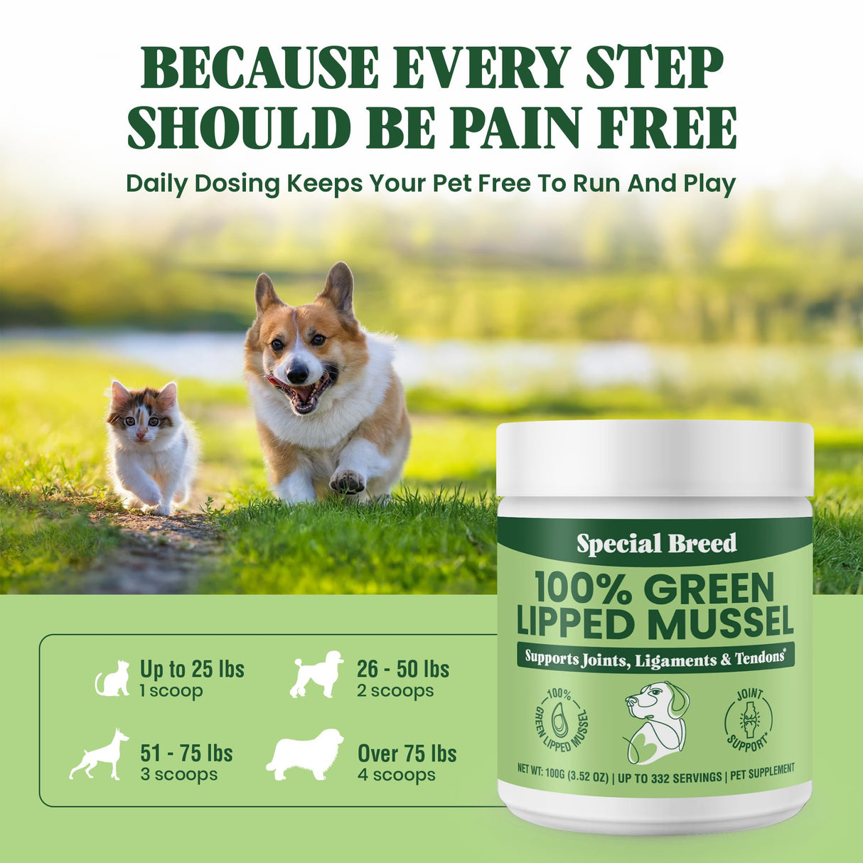 Special Breed Green Lipped Mussel Powder for Dogs & Cats - 100% New Zealand - Natural Hip & Joint Supplement for Joints, Tendons, Ligaments, Muscles - 100 Grams - Up to 332 Servings