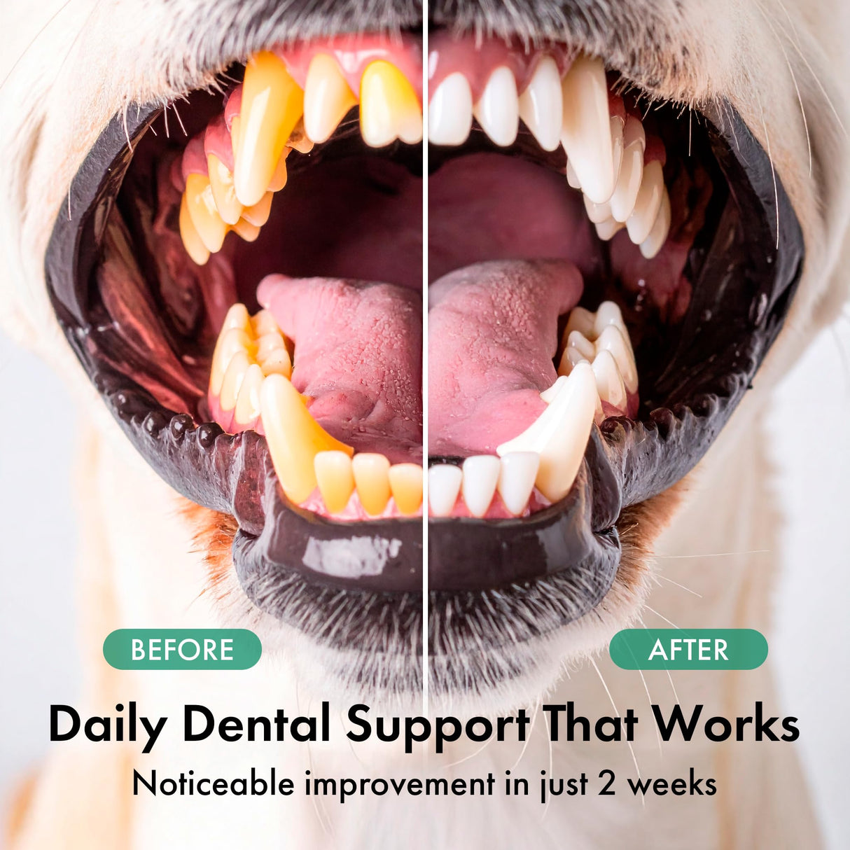 Dog Dental Powder – Dog Breath Freshener – Plaque Off and Tartar Remover for Dogs, Bad Breath Treatment, Natural Tooth Cleaning Powder for Dogs of All Breeds – Oral Care Supplement – Duck Flavor