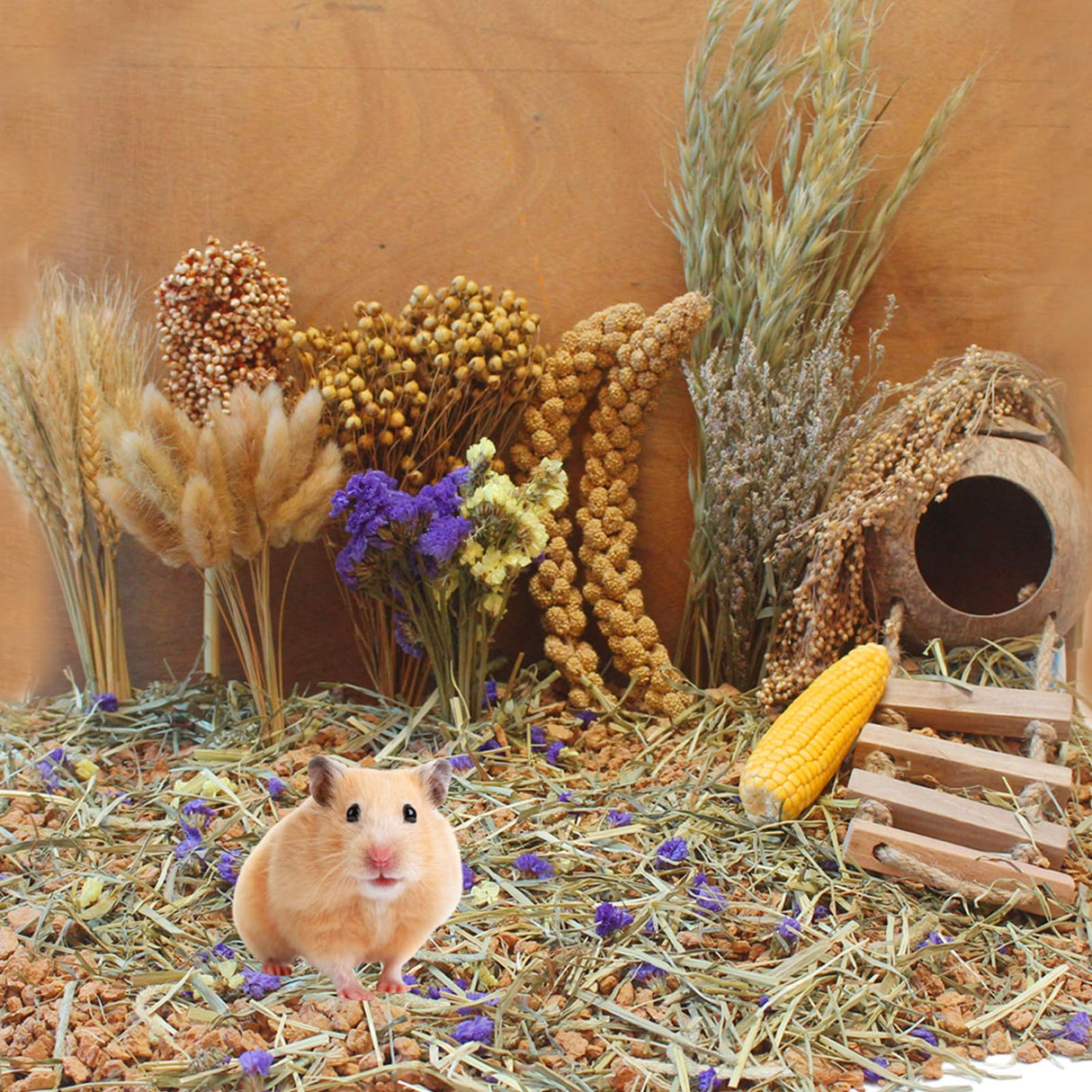 JFWOD Natural Hamster Bedding Flowers Herbs Sprays Treat for Cage Habitat Enclosure Decor for Dwarf Syrian Gerbils Mice Mouse Rat Pet Accessories Supplies