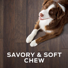 Load image into Gallery viewer, Pro Plan Veterinary Diets Purina Digestive Health Bites Dog Treat Chews - 16 oz. Pouch