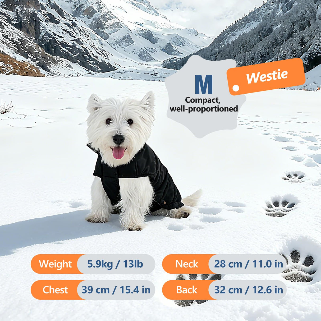Dog Puffer Jacket for Small & Medium Dogs, Waterproof Windproof Warm Dog Winter Coat, Lightweight Cold Weather Pet Vest with Leash Hole and Adjustable Fit, Black, L