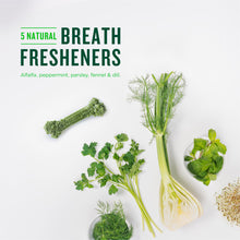 Load image into Gallery viewer, Minties Dog Dental Bone Treats, Tiny/Small Dental Dog Treats, Clean Teeth, Fight Bad Breath, Removes Plaque and Tartar, 80 Count