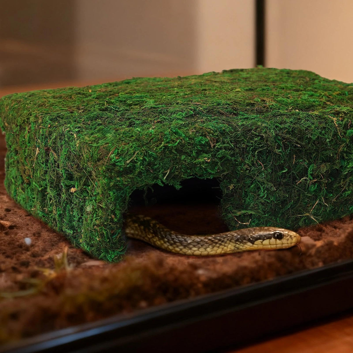 Hollima Mossy Cave Hide for Reptiles, Lizard Moss Hideout with Safe Shelter, Snake Cave Hut for Themed Terrarium Ideal for Gecko Hamster Snake to Rest & Hide