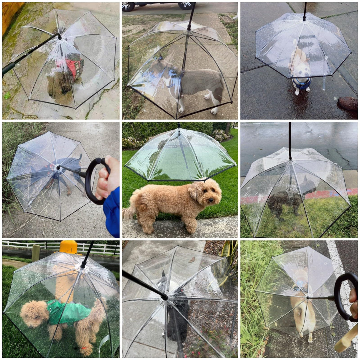 NAMSAN Clear Dog Umbrella for Small Dogs, Dog Umbrella Leash Keeps Dogs Dry in Rain Walking, Adjustable Leash, Self-Assembly