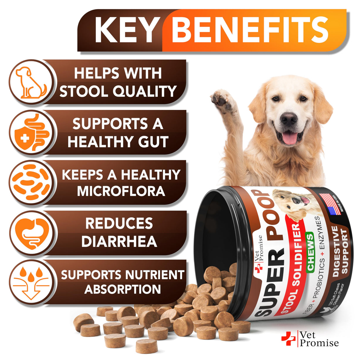Vet Promise Super Poop Probiotics for Dogs - Dog Stool Softener - Fiber for Dogs Supplement - 6 Probiotics and Digestive Enzymes - Healthy Gut - Perfect for Firm Stool & Diarrhea Relief - 120 Chews