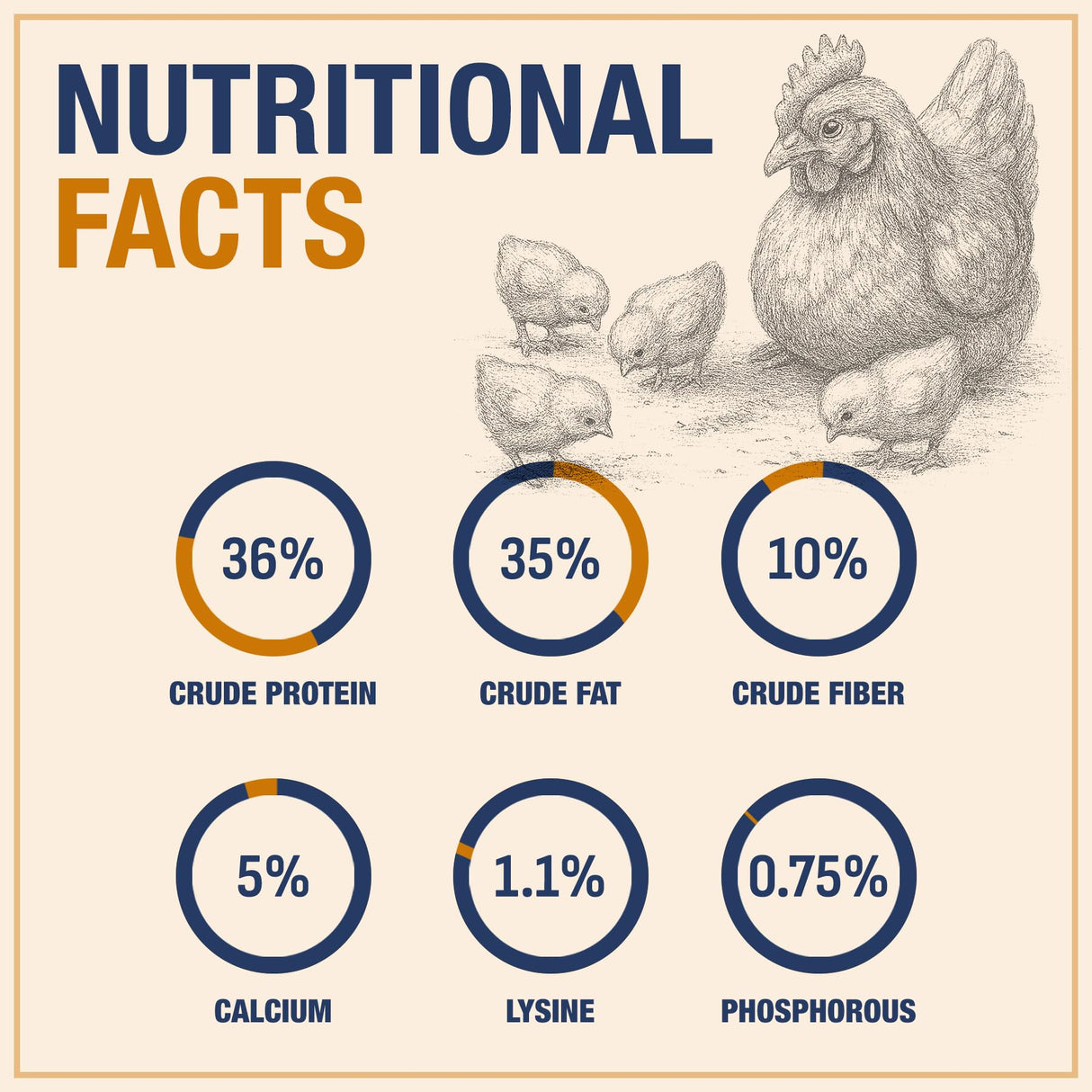 USA Grown Black Soldier Fly Larvae for Chickens - 100% Natural Dried Mealworms for Chickens - Grubs with 85X More Protein Chicken Treats for Laying Hens - Birds Feed Supplement for Ducks & Reptiles
