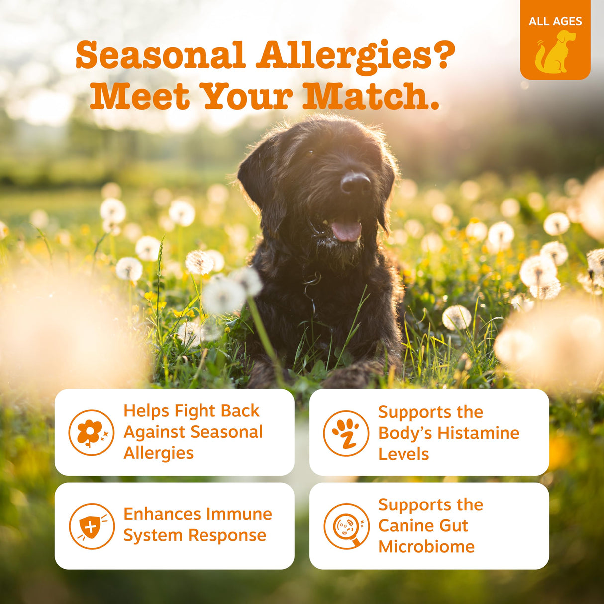 Zesty Paws Dog Allergy Relief Chews, Dog Probiotics for Itchy Skin and Ears, Peanut Butter, 90ct