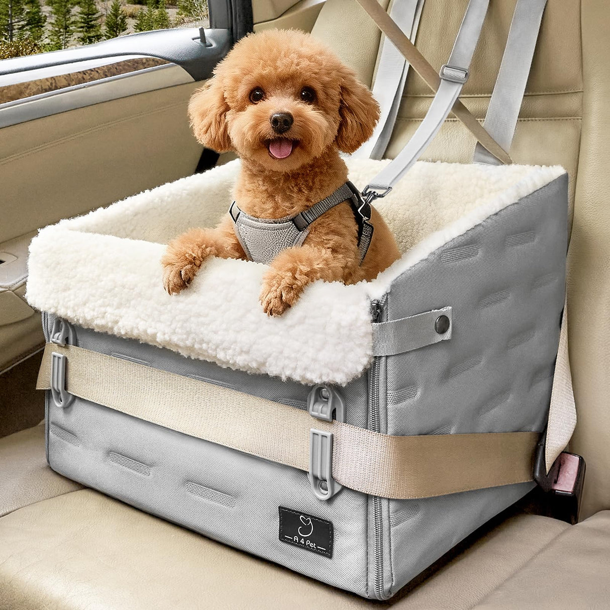 Dog Car Seat for Small Dogs – Patented Safety Buckle, Booster Seat with Safety Leash, Travel Car Seats for Dogs Up to 35 lbs – Secure, Comfortable, Easy Install, Fits Cars/SUVs/Trucks