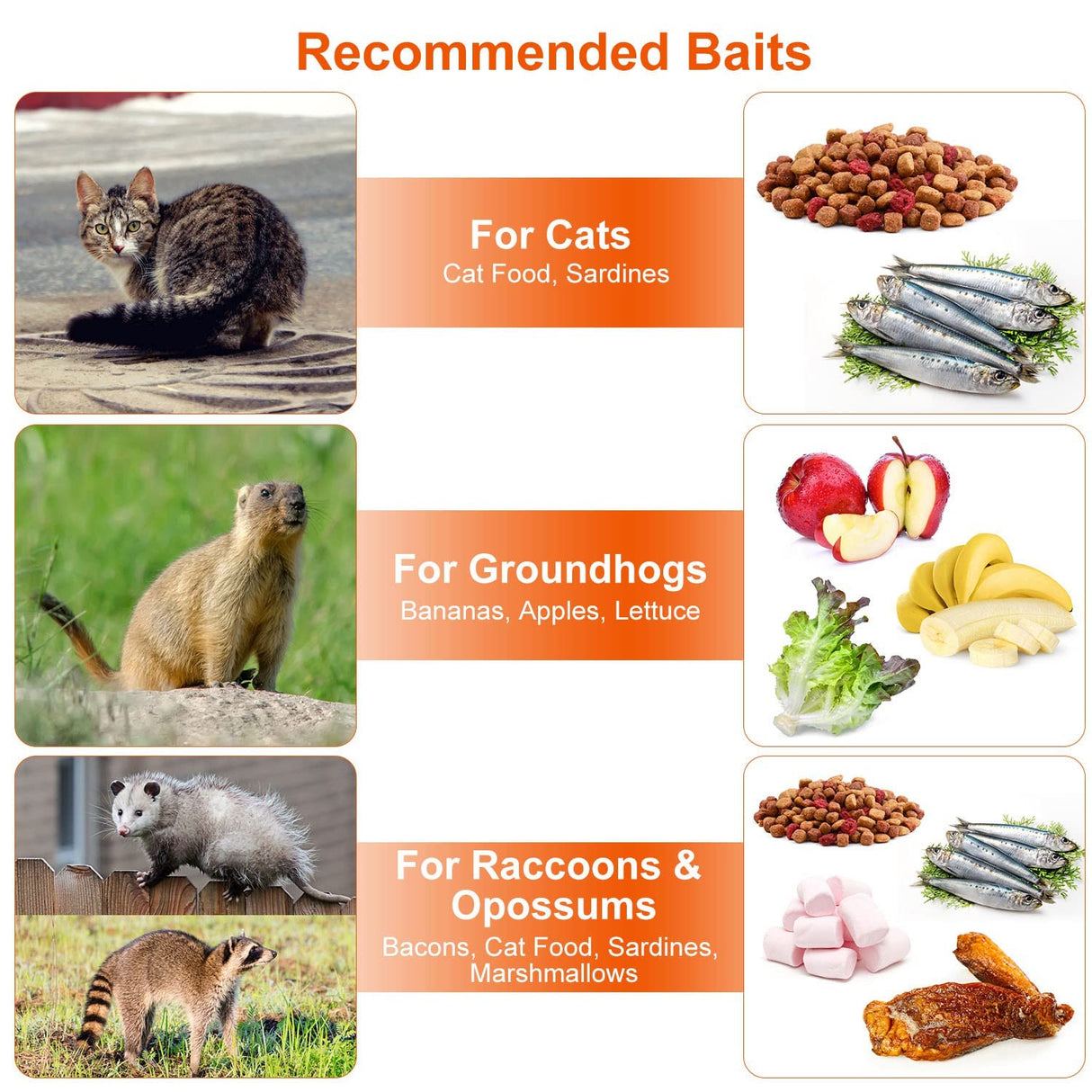 KOCASO Large Live Animal Trap Cage, Foldable Heavy Duty Humane Rat Trap for Indoor and Outdoor, Metal Mouse Trap for Squirrel Gopher Chipmunk Mice Raccoon, Easy to Catch and Release, 31"x11"x12"