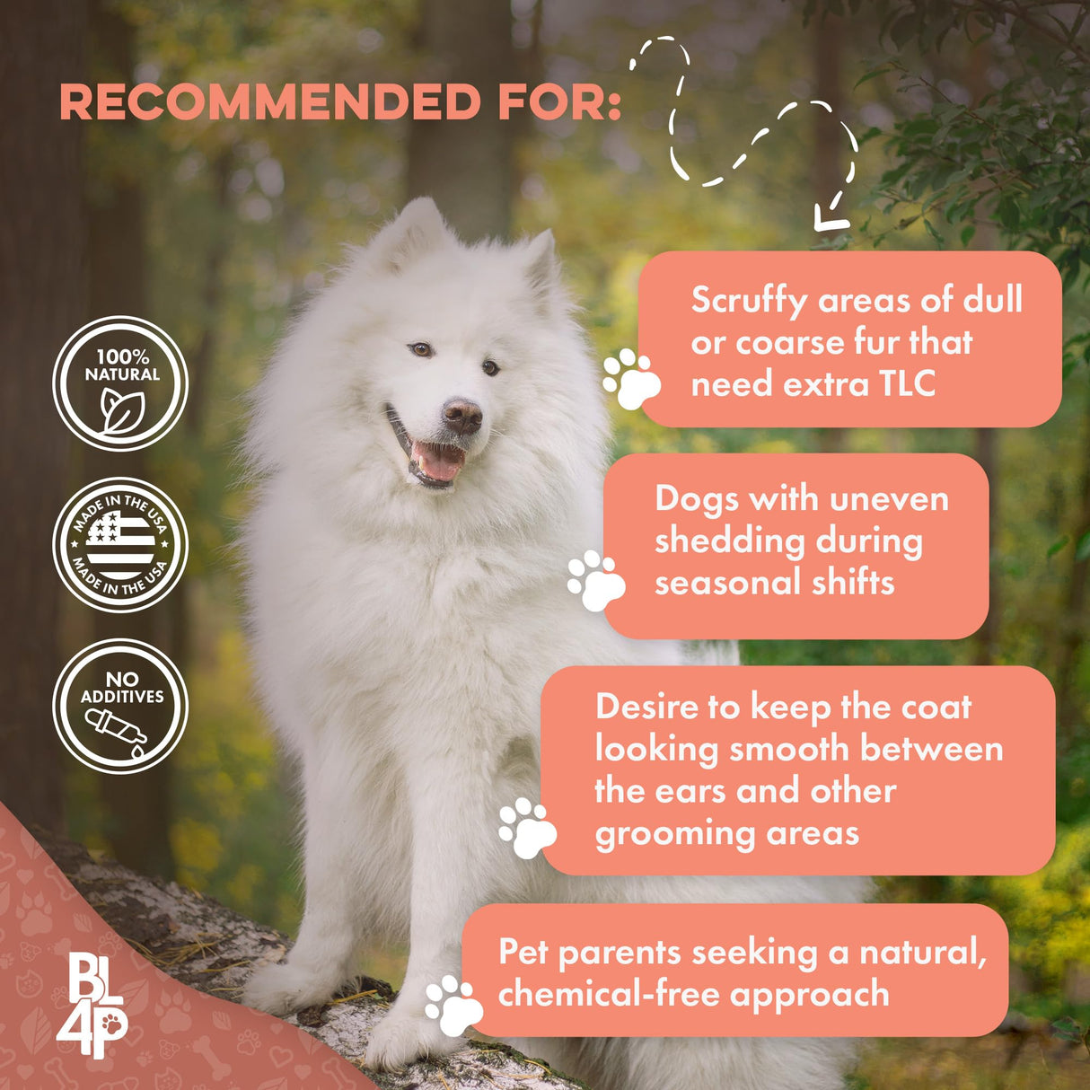 Dog Mange Support and Natural Dog Itching Relief for Canine Coat Issues & Puppy Mange, Soothes Dry Itchy Scaly Skin, Welts & Scabs - Helps Restore Fur Loss (Easy Use 400 Tiny Pills)