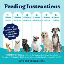 Load image into Gallery viewer, Solid Gold Dog Allergy Relief Chews - Dog Itching Skin Relief & Seasonal Allergies Support - Alaskan Salmon Oil for Dogs Skin, Coat & Immune Support - Bacon Flavor Soft Allergy Chews for Dogs -120ct