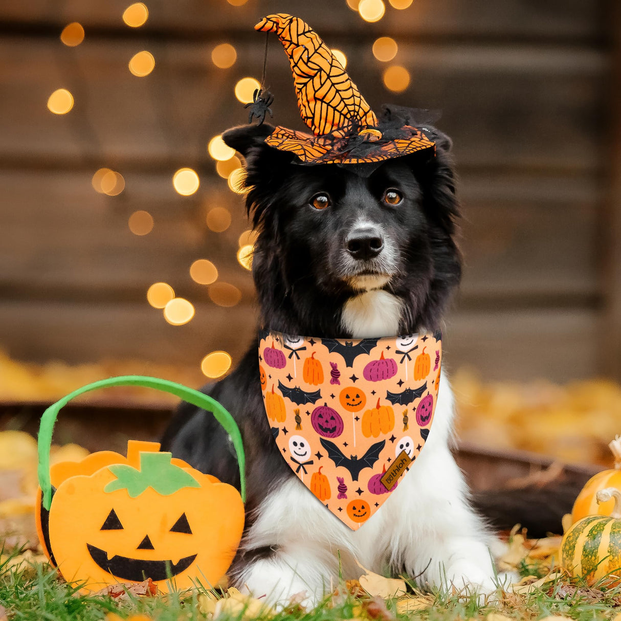 THLOH Halloween Dog Bandanas - 2 Pack Purple Dog Bandana with Snap Button | Reversible Pet Scarf for Boy & Girl | Premium Durable Fabric | Holiday Bandana for Large and Extra Large Dogs (X-Large)