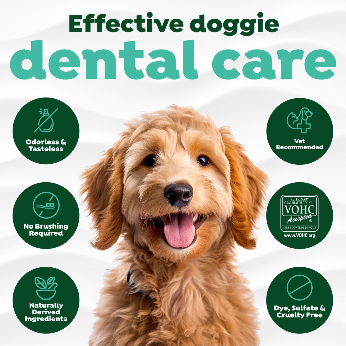 TropiClean Fresh Breath Water Additive for Dogs | Dog Breath Freshener & Teeth Cleaning Solution | No Toothpaste or Toothbrush Required | 16 oz + Pump