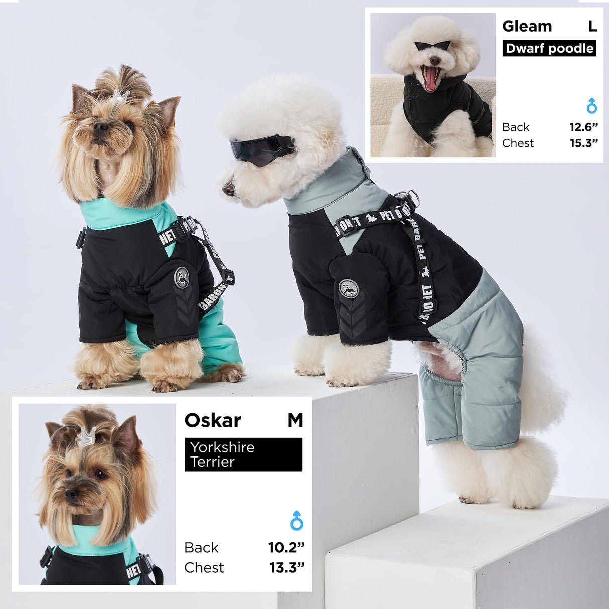 PETBARONET Waterproof Full Body Snowsuit with Harness, Reflective Jacket for Small and Medium Dogs (Green, XL:Chest 18.9'', Length: 14.2'')