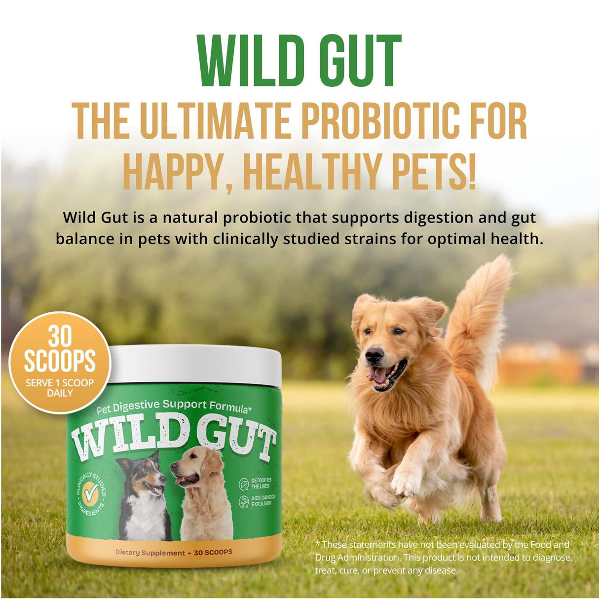 Wild Gut - Natural Probiotic Supplement for Pets | Supports Digestive Health & Gut Microbiome | 8 Probiotic Strains | 3 Bottles