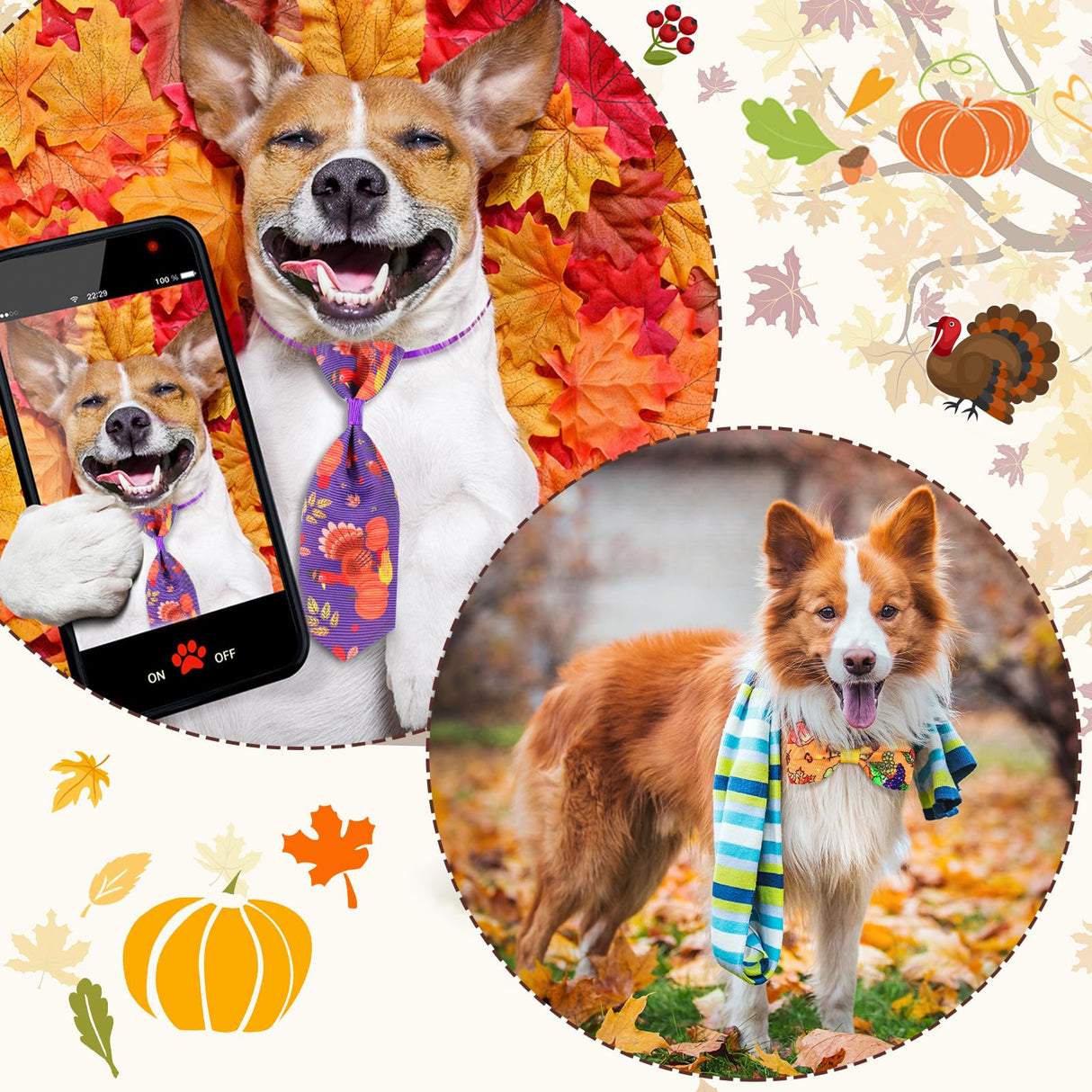 Eccliy 120 Pcs Thanksgiving Dog Bow Tie Bulk Fall Dog Grooming Bows Thanksgiving Adjustable Pumpkin Turkey Maple Leaves Pattern Pet Neckties for Small Medium Large Pet Cats