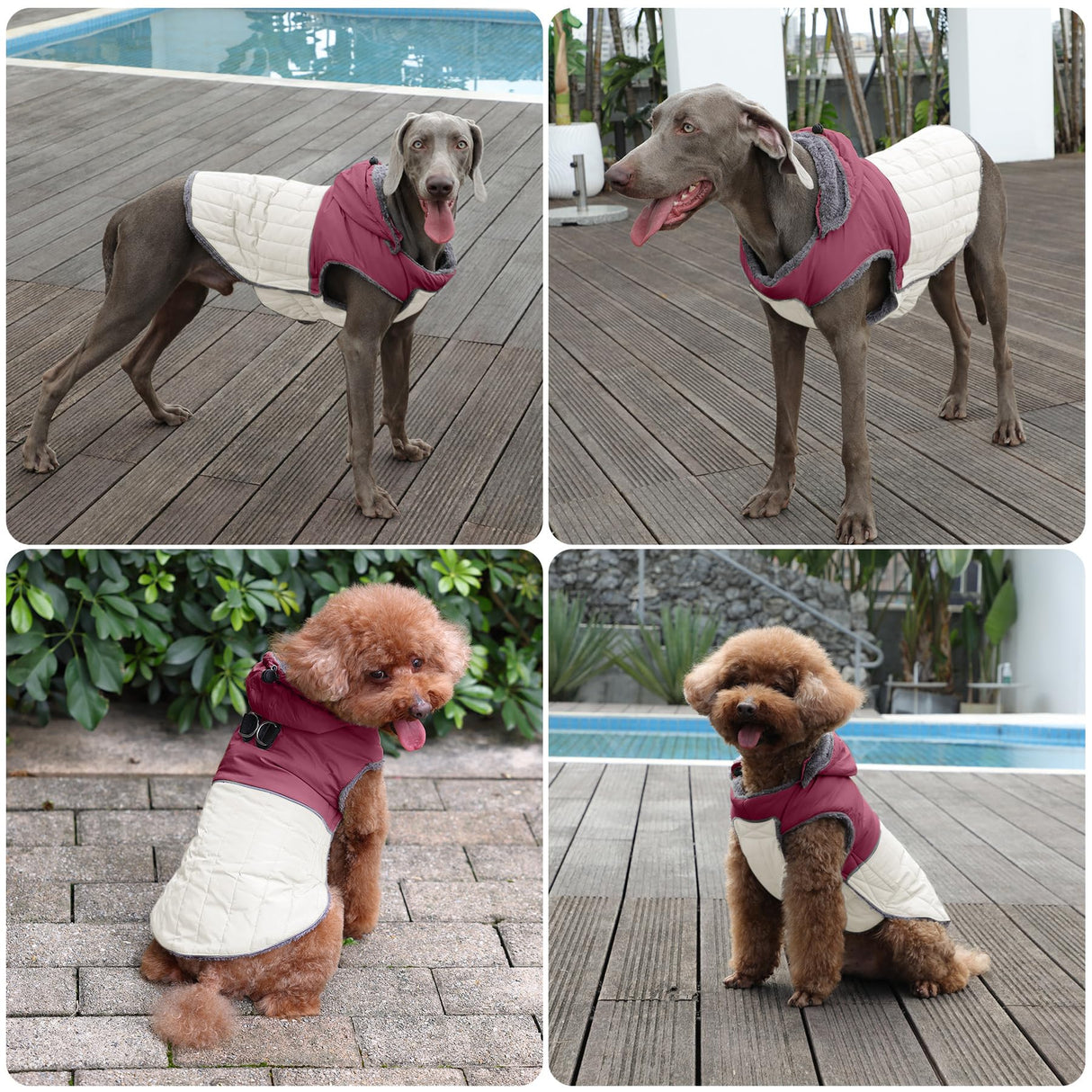 JoyDaog Detachable Hooded Dog Coat with Harness for Large Dogs,Super Warm Fleece Puppy Jacket for Cold Winter Doggie Coats,Red XXXL