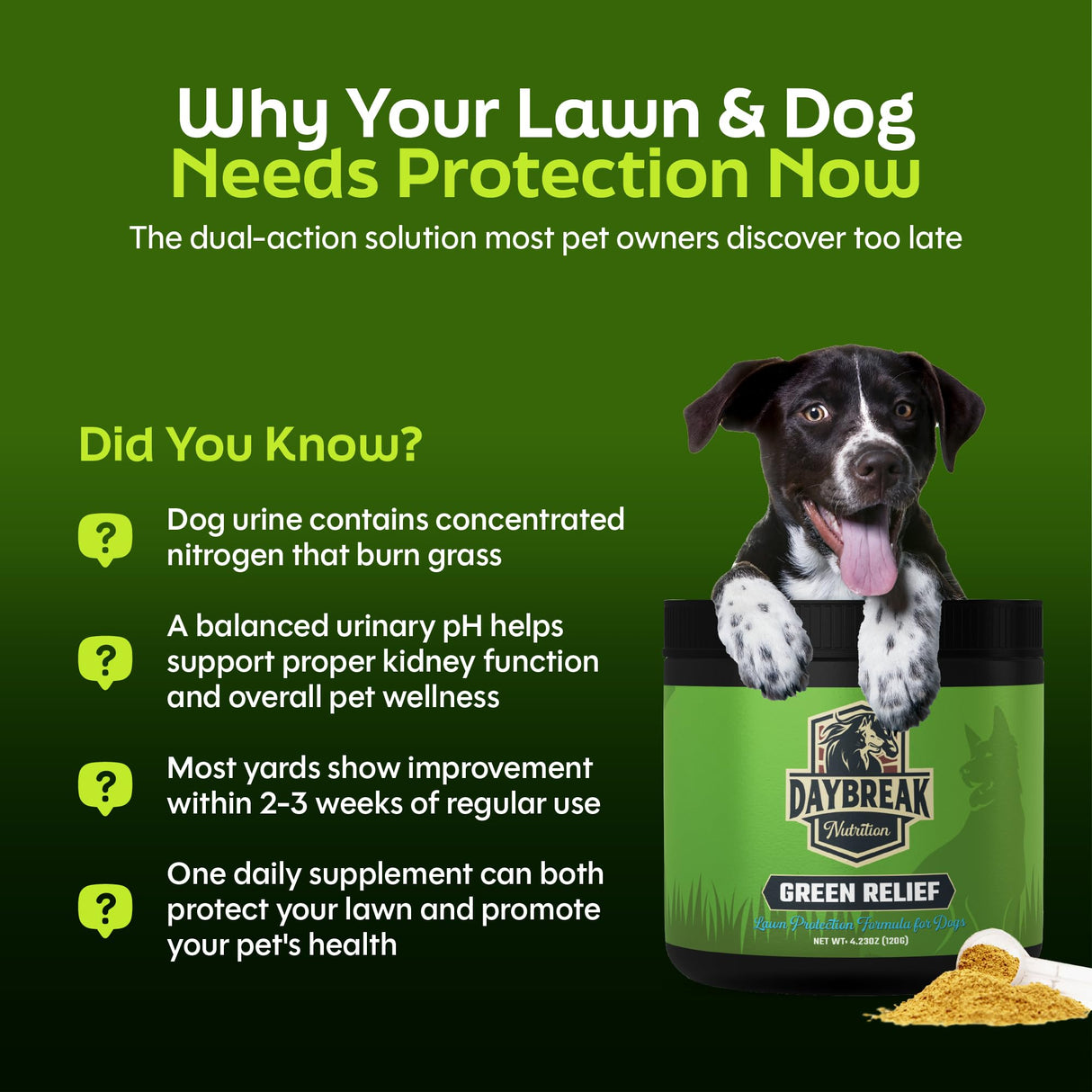 Daybreak Nutrition Green Relief Dog Urine Neutralizer for Lawn - Natural Grass Saver Powder Supplement with L-Methionine, Cranberry & Probiotics - Prevents Yellow Patches from Dog Pee - Made in USA