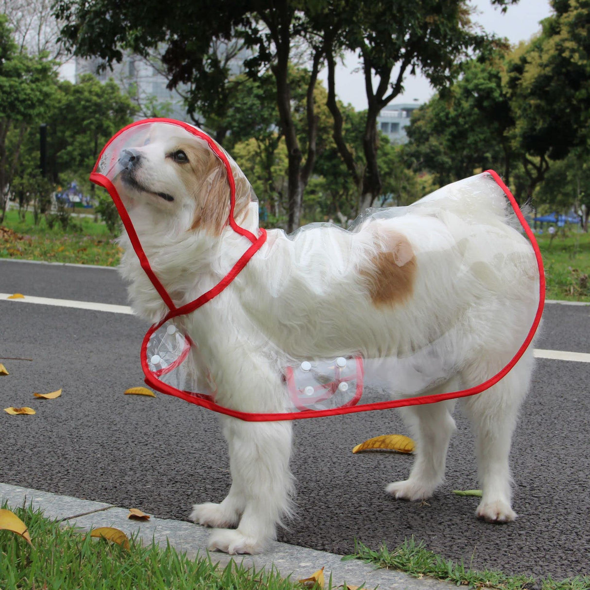 Harikaji Pet Raincoat,Small Dog Waterproof Puppy Raincoat Coat Transparent Pet Dog Rainwear Clothes for Small Dogs Cats (L,Red)
