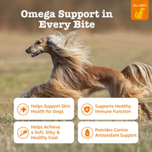 Load image into Gallery viewer, Zesty Paws Omega 3 Alaskan Fish Oil Chew Treats for Dogs - with AlaskOmega for EPA & DHA Fatty Acids - Hip & Joint Support + Skin & Coat Chicken Flavor (90 Soft Chews)