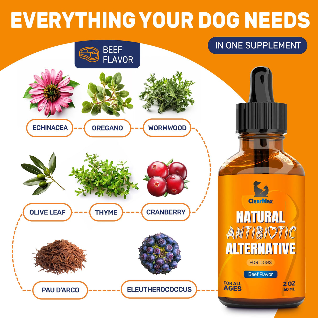 Natural Antibiotics for Dogs for Allergies, Infections, Coughs, Digestive Moments β Dog Antibiotics with Beef Flavor May Support Urination and Breathing β Organic Composition with Cranberry β 2 Oz