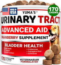Load image into Gallery viewer, Dog UTI Chews - 170 Treats - Cranberry Supplement for Dogs - Bladder Control - Digestion & Immune Support - Urinary Tract Health - Multivitamin - Vitamins and Supplements - Made in USA
