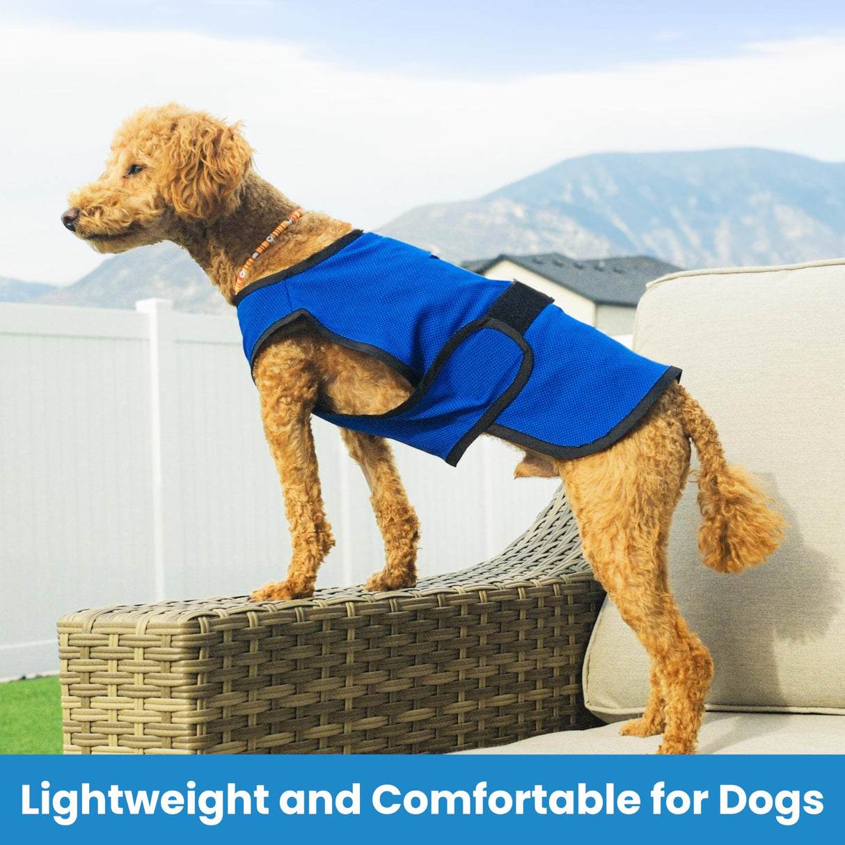 DOGZSTUFF Dog Cooling Vest – Lightweight Evaporative Shirt with UV Protection for Small, Medium, and Large Dogs – Breathable Soft Fabric for Hot Weather (S, Dark Blue)