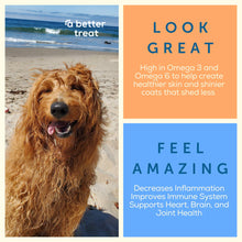 Load image into Gallery viewer, A Better Treat – Freeze Dried Salmon Dog Treats, Wild Caught, Single Ingredient | Natural High Value | Gluten Free, Grain Free, High Protein, Diabetic Friendly | Natural Fish Oil | Made in The USA