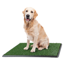 Load image into Gallery viewer, Artificial Grass Puppy Pee Pad for Dogs and Small Pets - 20x30 Inch, Reusable 3-Layer Turf Pads for Dogs with Tray - Indoor and Outdoor Fake Grass Potty Pet Supplies by PETMAKER