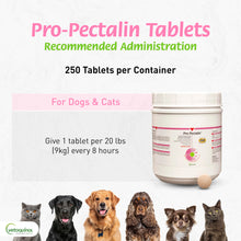 Load image into Gallery viewer, Vetoquinol Pro-Pectalin Chewable Tablets for Dogs & Cats, Helps Relieve Occasional Diarrhea, Situational Diarrhea Relief with Kaolin and Pectin, Contains Beneficial Probiotic Bacteria, 250 ct