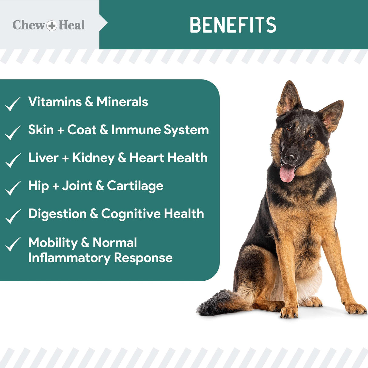 12-in-1 Multivitamin for Dogs - 60 Puppy and Senior Dog Vitamin and Supplement Soft Chews for Hip and Joint - Advanced Formula with Glucosamine, Omega 3,6,9, Vitamins, Probiotics, and More