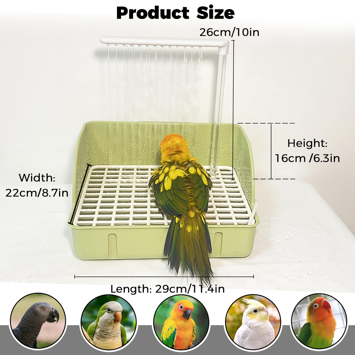 Jevnd Automatic Parakeet Bird Bath with Pump, Large Bird Shower Fountain Indoor Bathtub with Running Water, Parrot Bath Tub Faucet for Pet Birds, African Grey, Cockatiel, Conure, Budgie, Lovebird