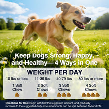 Load image into Gallery viewer, Hip and Joint Supplement for Dogs Dog Probiotics Glucosamine Chondroitin MSM Chew for Dog Arthritis Pain Relief Extend Joint Care, Probiotic for Digestive/Gut Health for Large/Small/Senior Breed Dogs