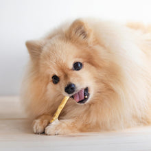 Load image into Gallery viewer, Fieldcrest Farms Nothin' to Hide Twist Stix, Beef Flavor, Easily Digestible, Supports Skin, Coat, Joints & Muscles, for Moderate Chewers Under 15lbs, 50 Pieces