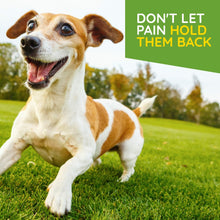 Load image into Gallery viewer, MediNatura T-Relief Pet Arthritis Relief Arnica +12 Powerful Natural Homeopathic Medicines Help Ease Hip & Joint Pain Soreness & Stiffness for Dog & Cat - 90 Tablets