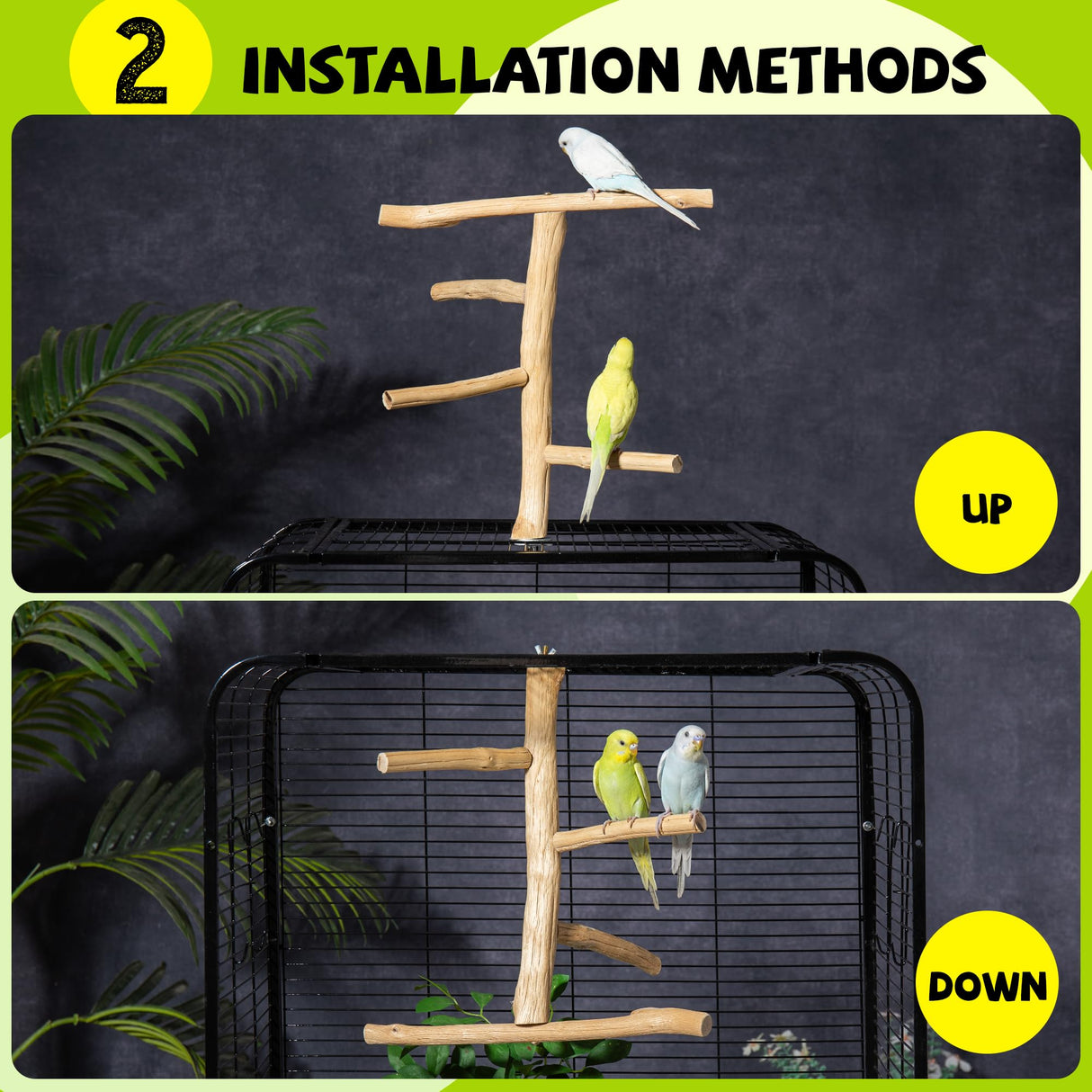 Pecirvoli Natural Wood Bird Perch & Play Stand for Parakeets/Cockatiels - Multi-Level Cage Accessory with Training Branch