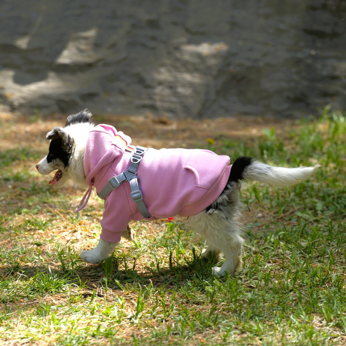 Furmate Dog Hoodies with Hurns Built in, Dog Sweatshirt for Small, Medium, and Large Dogs, Warm Sweaters for French Bulldogs, Pitbull, Puppy, Winter Jacket Alternative - Pink - L