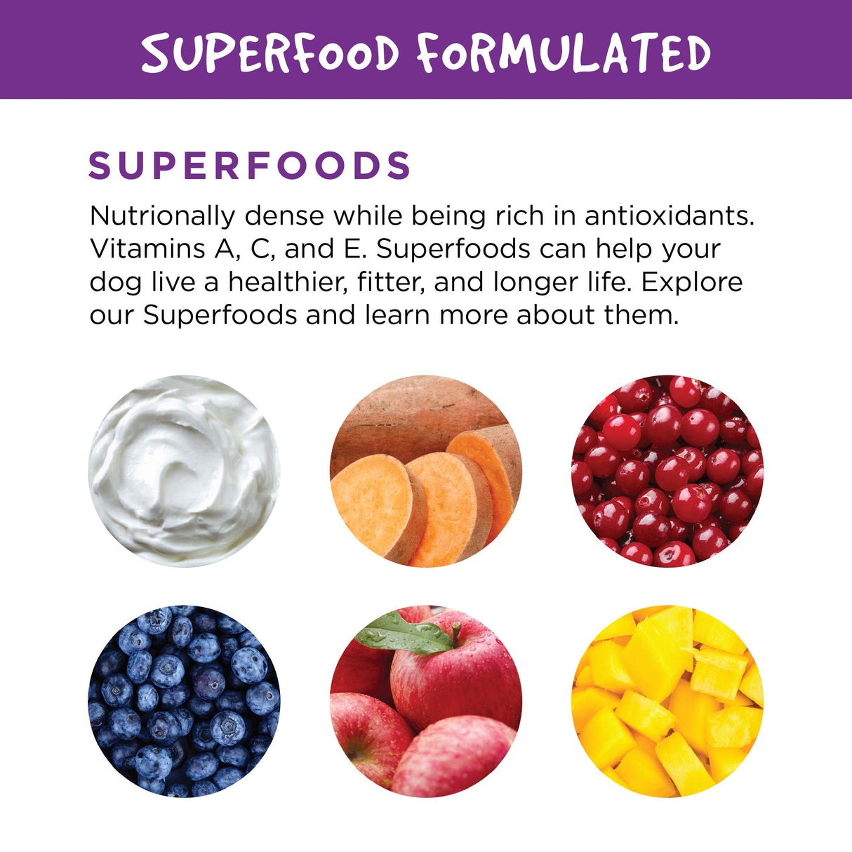 Fruitables Pumpkin Digestive Supplement - Made with Pumpkin for Dogs - Healthy Fiber Supplement for Pet Nutrition - 15 Ounces (6 Pack)