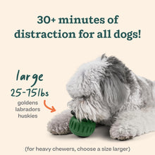 Load image into Gallery viewer, WOOF Starter Pack - Interactive Dog Toys for Boredom - Dog Treat Molds Silicone - Chicken-Flavored Healthy Treats for Dogs - Pupsicle Doggy Enrichment Toy - for Large Pups - 25-75 lbs