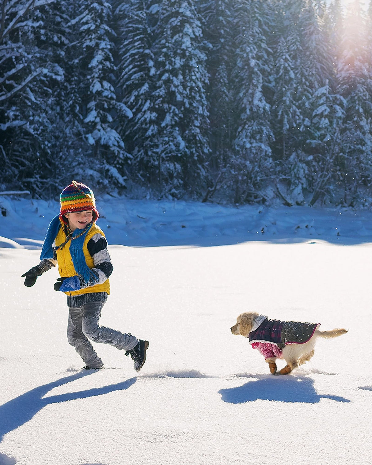 Winter Dog Boots & Paw Protectors: Outdoor Anti-Slip Dog Snow Shoes, Dog Booties Provide Warmth to Dogs Paws from Ice and Snow, Rubber Sole PU Leather Faux Fleece-Lined, Light Brown Dog Shoes Size 2