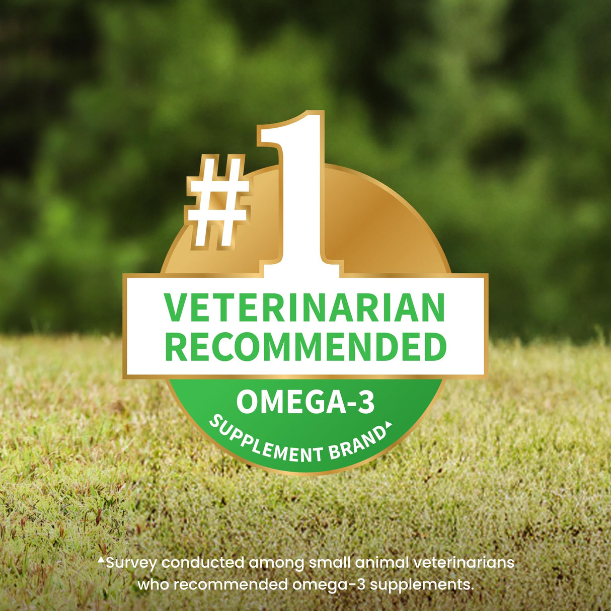 Nutramax Welactin Omega 3 Fish Oil for Dogs, Skin and Coat Health Supplement, Plus Joint, Immune, Kidney, and Brain Support, Premium Omega 3 Fatty Acids, For Dogs, 16 Ounce Liquid